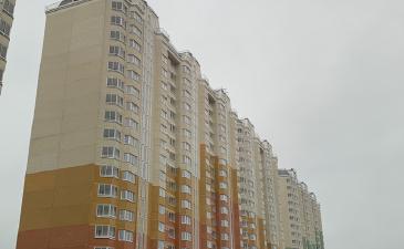 Фотоотчет ноябрь 2019
