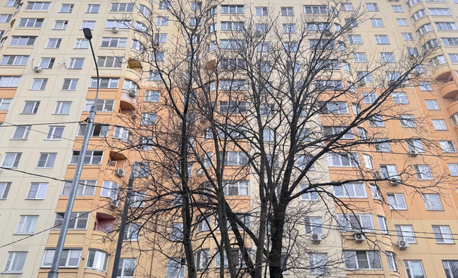 2-комнатная квартира в г. Балашиха