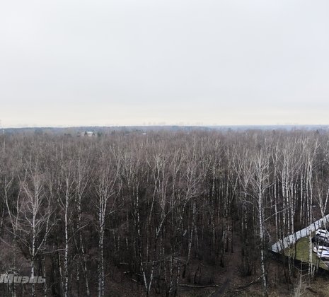 1-комнатная квартира в г. Балашиха