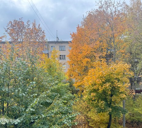 3-комнатная квартира в г. Балашиха