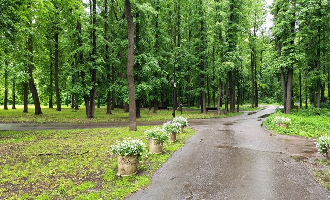 3-комнатная квартира в г. Москва