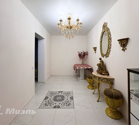 Московская обл, г Щёлково, тер Новое Шевёлкино, ул Южная, д 39Б