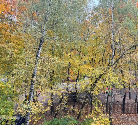 3-комнатная квартира в г. Балашиха