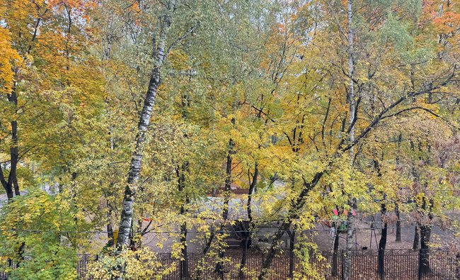3-комнатная квартира в г. Балашиха
