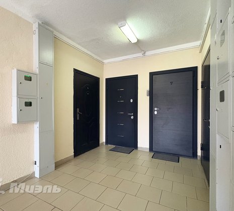 Студия в г. Балашиха