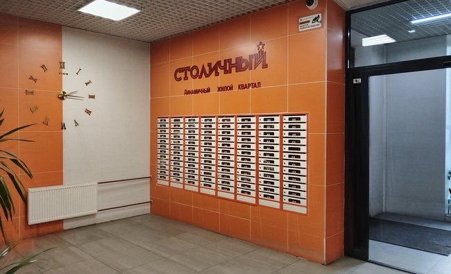 Студия в г. Балашиха