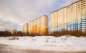 Фотоотчет февраль 2019