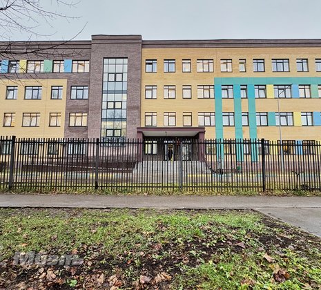 Московская обл, г Щёлково, тер Новое Шевёлкино, ул Южная, д 39Б