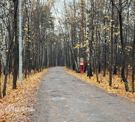 Студия в г. Балашиха
