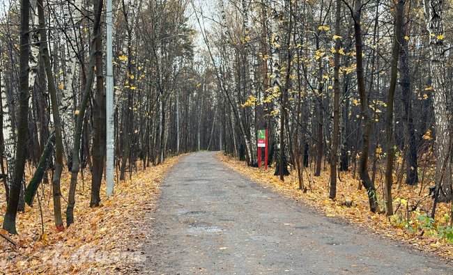 Студия в г. Балашиха