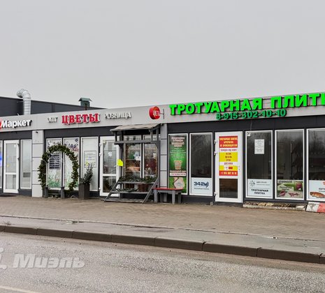 Московская обл, г Щёлково, тер Новое Шевёлкино, ул Южная, д 39Б