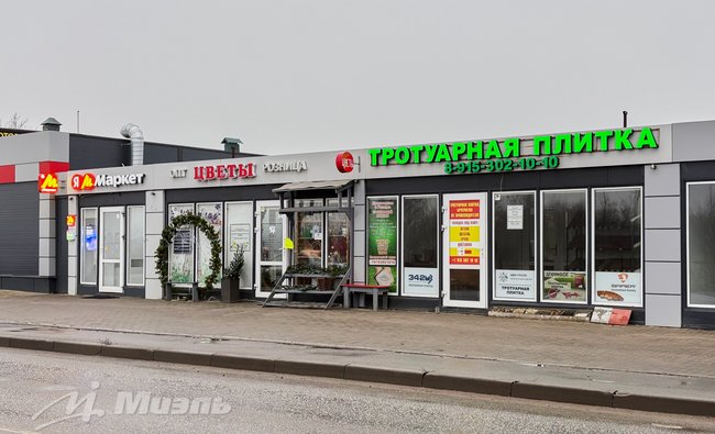 Московская обл, г Щёлково, тер Новое Шевёлкино, ул Южная, д 39Б